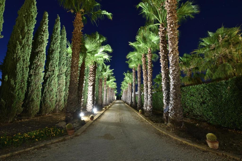 une rue bordée de palmiers la nuit dans l'établissement Agrisicilia (Relax Mare e Natura), à Marinella di Selinunte