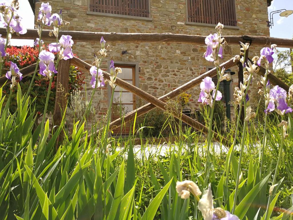 Ogród w obiekcie Residence il Poggiolino