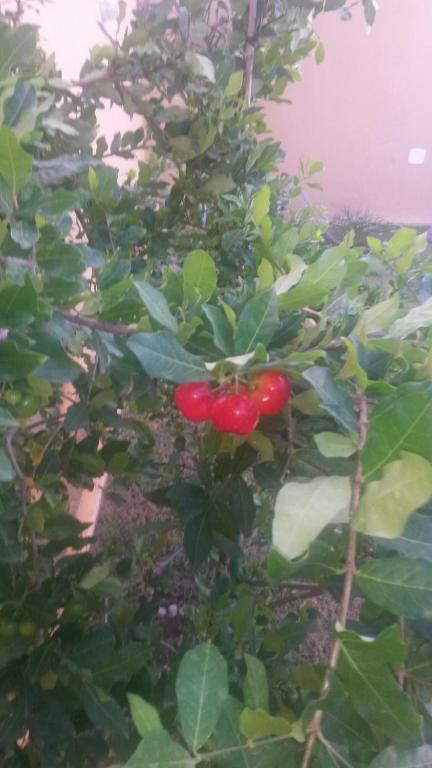  Pousada Mãe das Águas