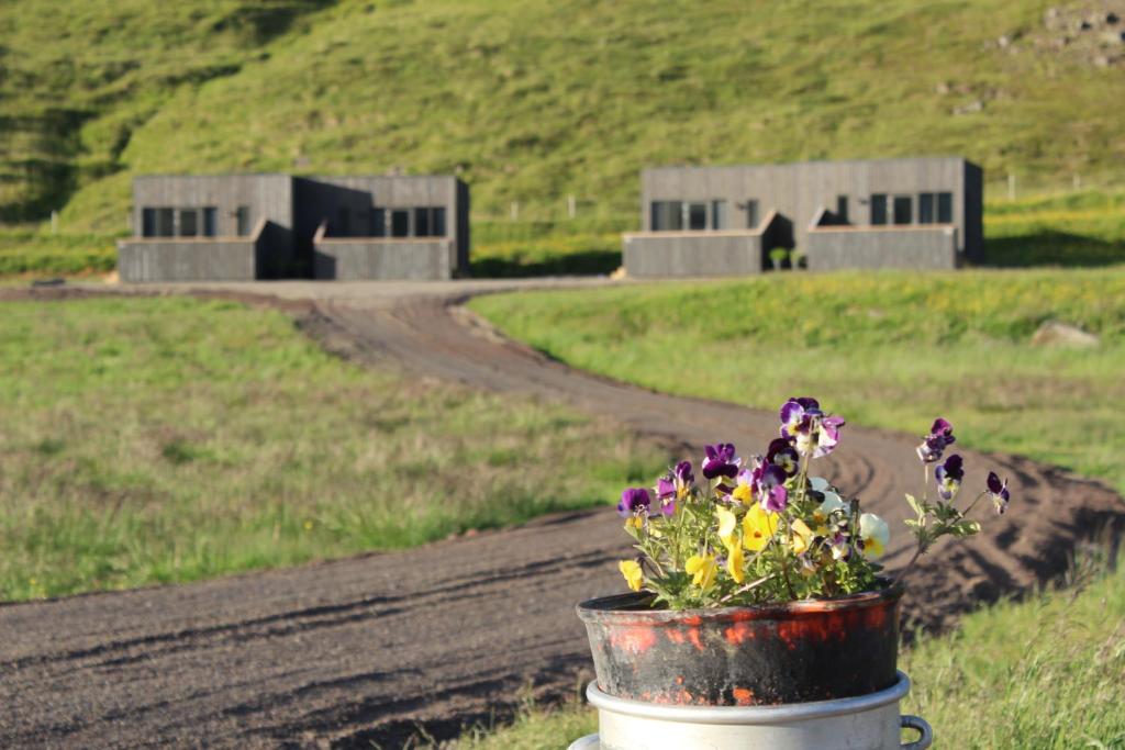 a flower pot on a dirt road with a building in the background at Lax&aacute;rdalur Cabin in Einarssta&eth;ir