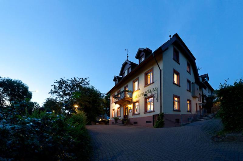 een groot wit gebouw met lichten aan bij Hotel & Restaurant Grüner Baum Merzhausen in Freiburg im Breisgau