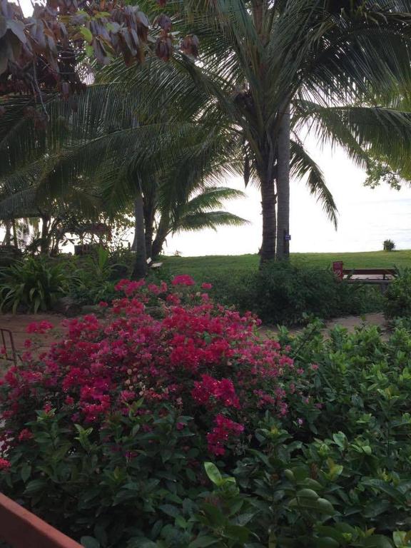 Zahrada ubytování Hanalei Gardens