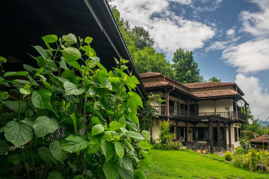 Zahrada ubytování Guest House Verbena