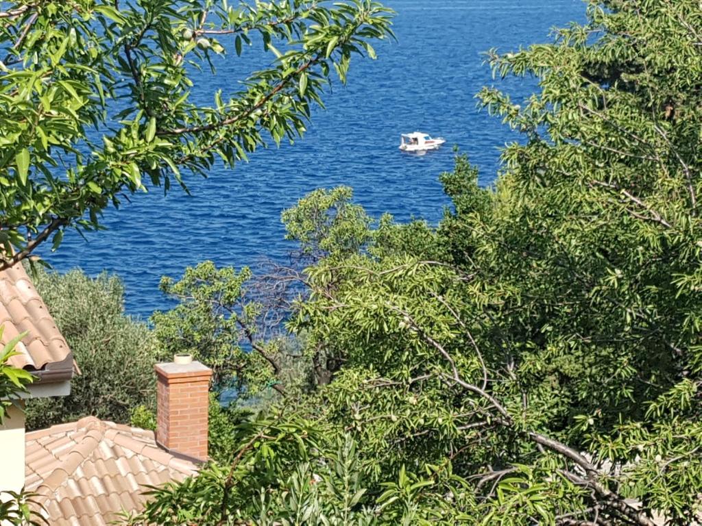 a boat in the water with a house and trees at Guest House Sombrero in Senj