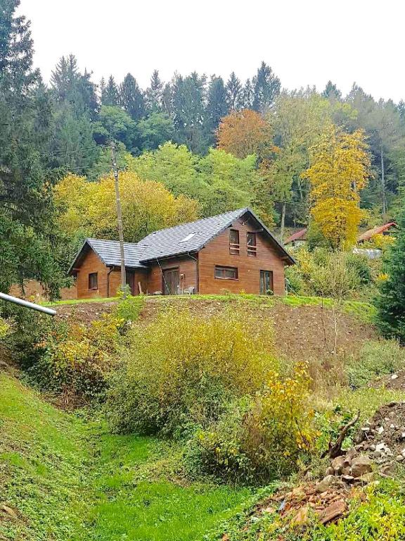 une maison en bois installée au sommet d'une colline dans l'établissement Chalet du champs des semeaux, à Wisches