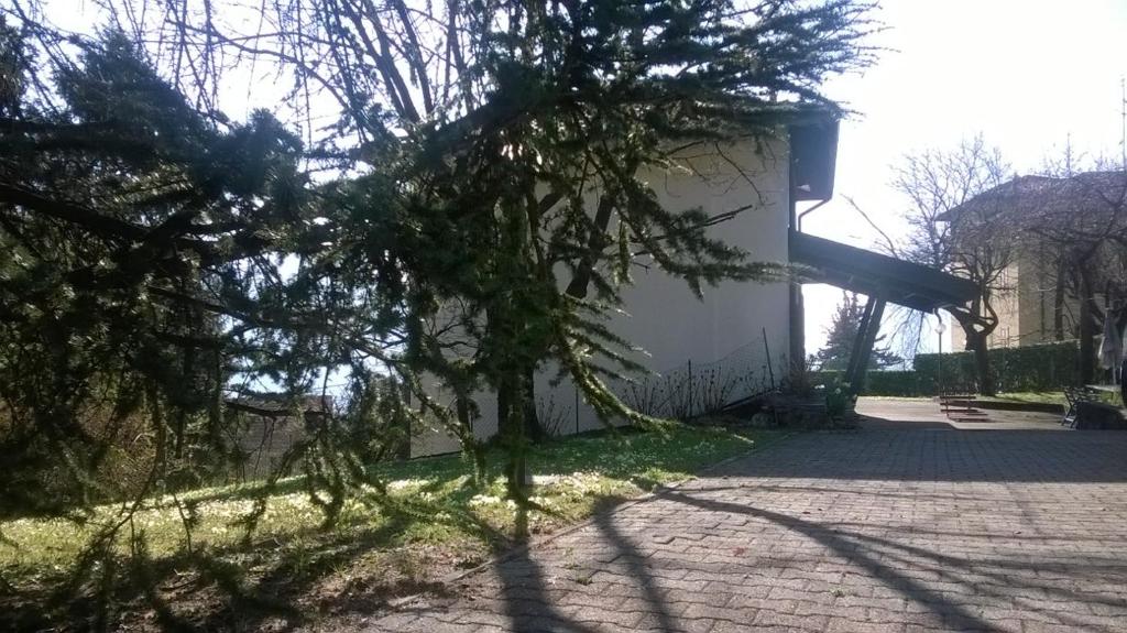 Zahrada ubytování Casa Pierini