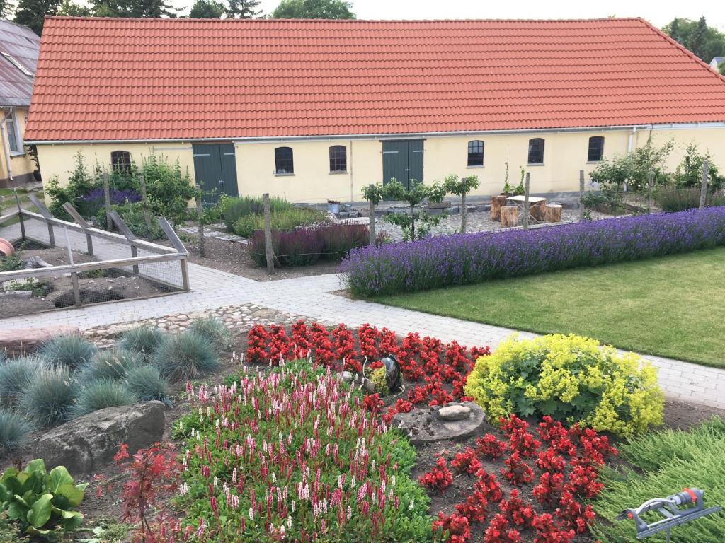 un jardín con flores rojas y moradas y un edificio en Birkende Bed and Breakfast en Langeskov