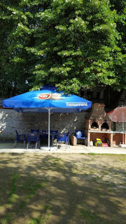 Zahrada ubytování Casa Borcean