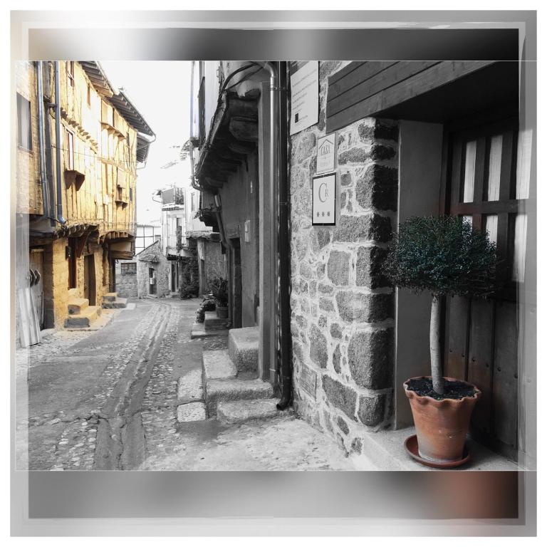 an alley with a plant in a pot next to a building at Casa Rural Estrela in San Martín de Trevejo
