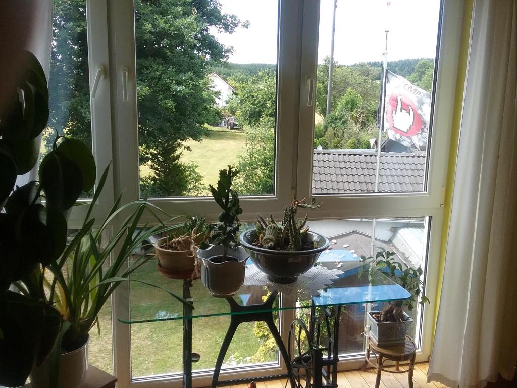 a room with a table with potted plants on it at Gudrun Waegner in Welcherath