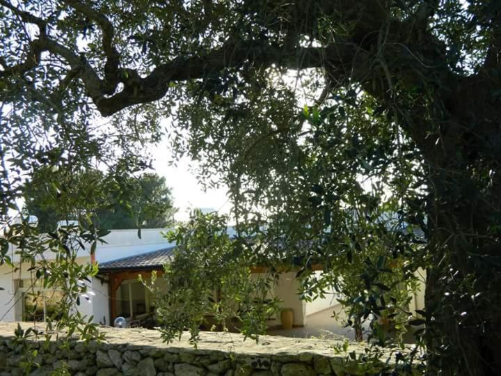 A garden outside Agriturismo Serra Vecchia