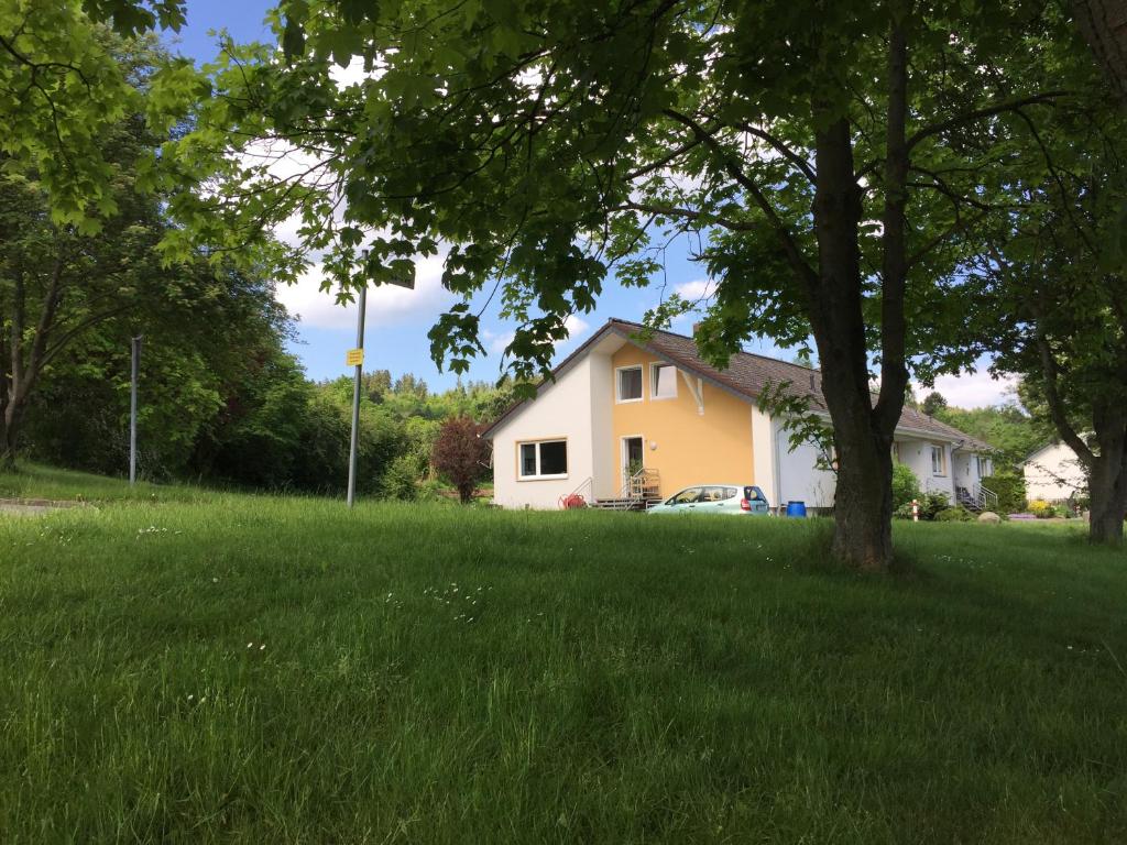 a house in the middle of a field of grass at Fewo Granetalsperre in Langelsheim