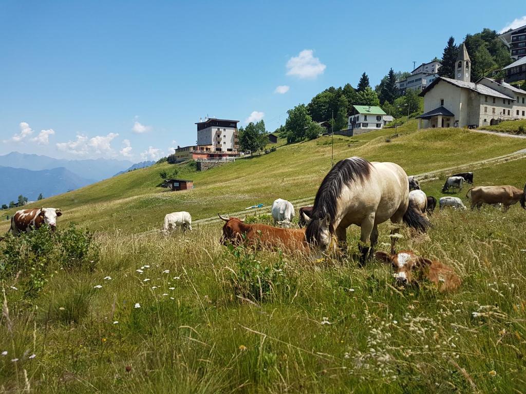 Fotografia z galérie ubytovania Rifugio Camparient v destinácii Scopello