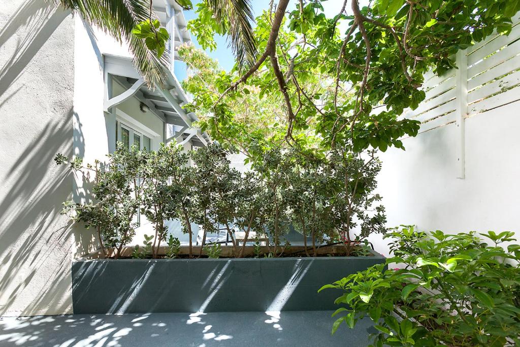 a potted tree in a window of a building at Memories Beach Hotel in Monolithos