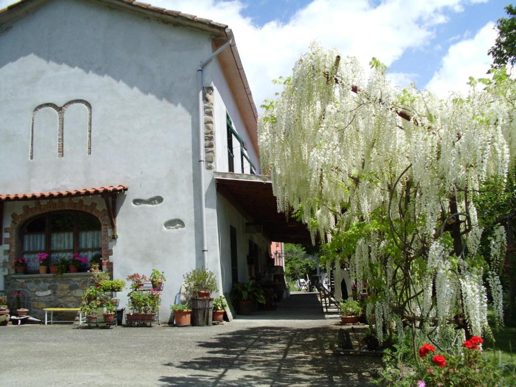 Licciana Nardi的住宿－卡若薩諾農莊酒店，前面有棵树的白色建筑