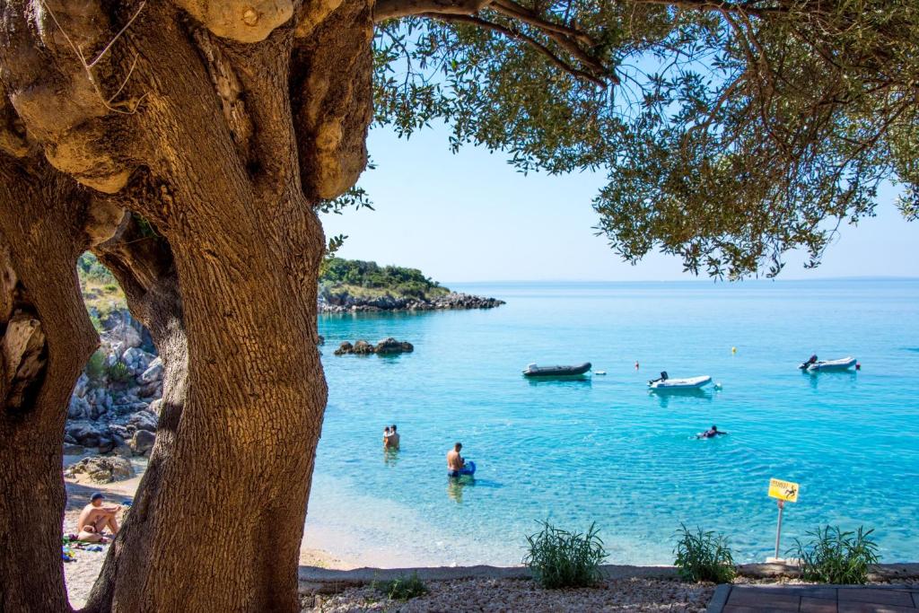 un groupe de personnes dans l'eau d'une plage dans l'établissement Villa Rooms Mediteran, à Borovići