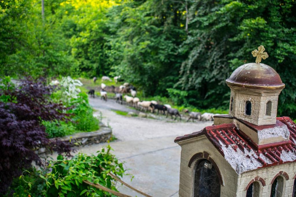 Zahrada ubytování Guest House Verbena