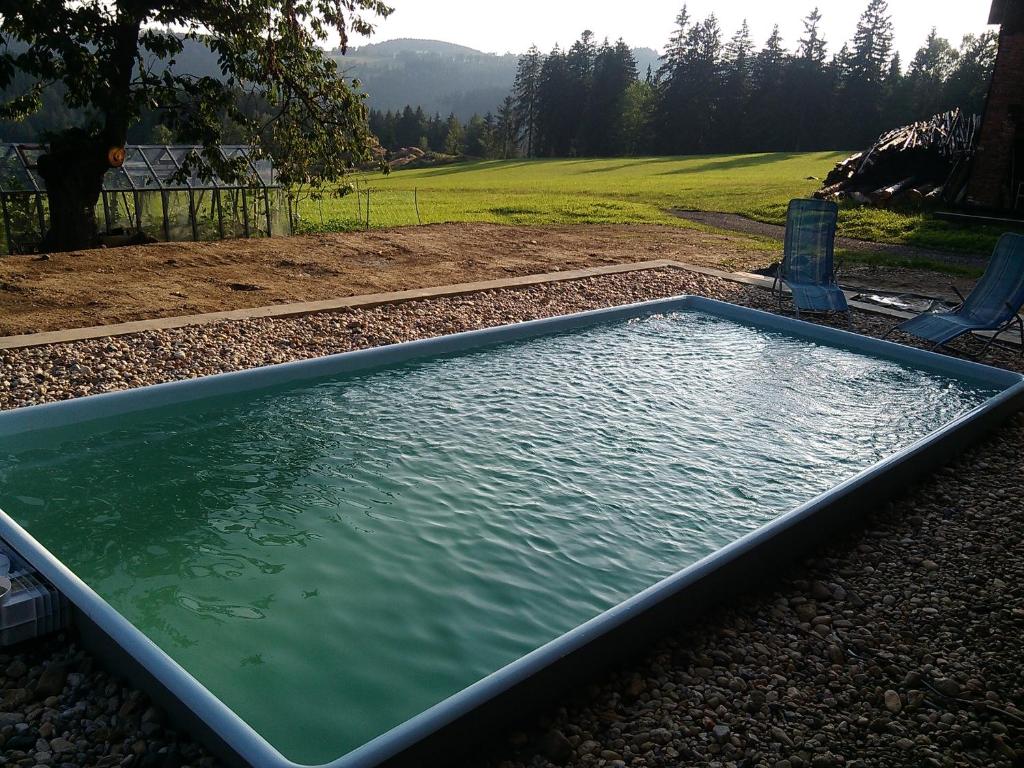 an empty pool of water in a yard at Apartmány Kuřátko in Benecko