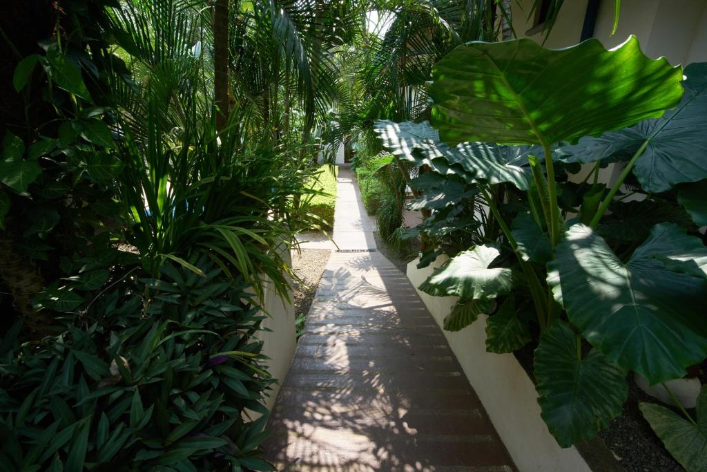 Zahrada ubytování Tamarindo Blue Apartments