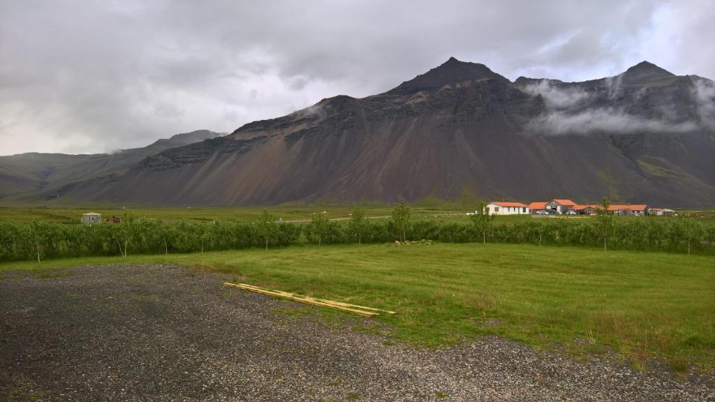 a field with a house in front of a mountain at Sefdalur Studio Apartment in Höfn