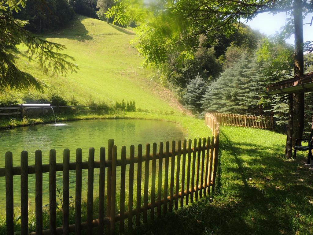 Příroda nedaleko bed and breakfast