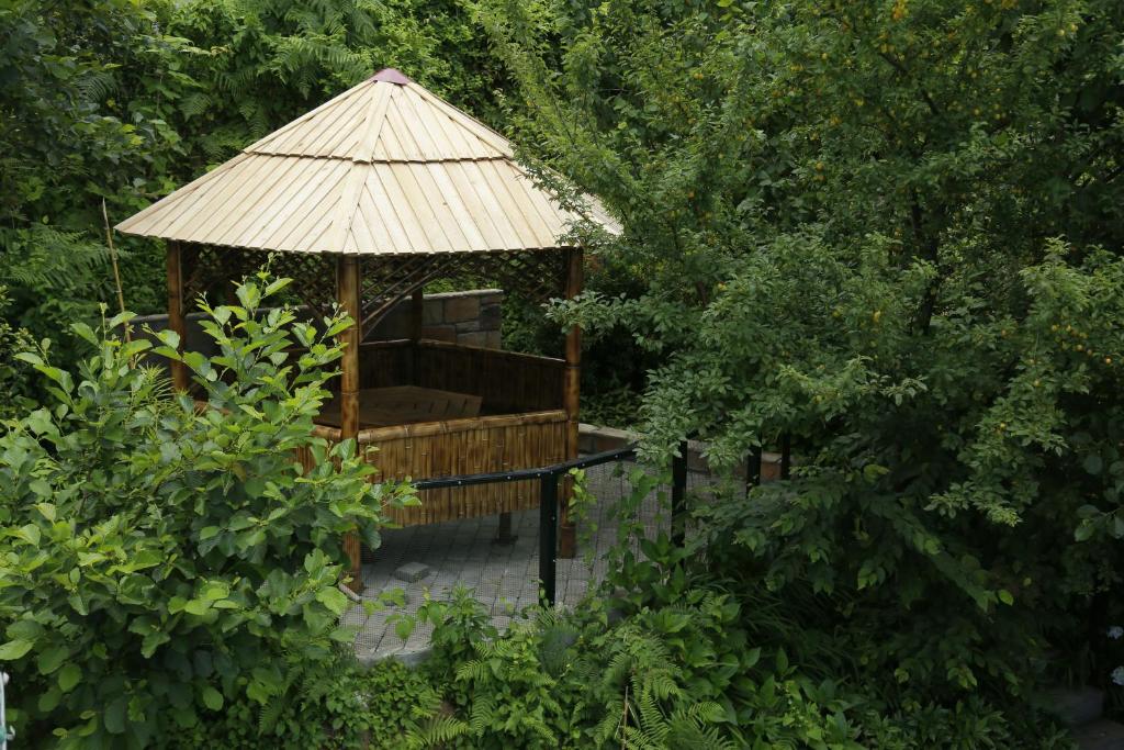 Zahrada ubytování Mount Villa Kvariati