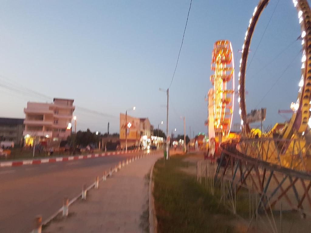 a ferris wheel on the side of a road at Villa Mar Bella in Costinesti