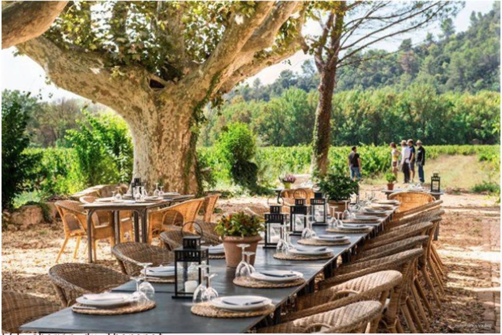 une grande table avec des tables et des chaises sous un arbre dans l'établissement Domaine Regis Freres, à Vidauban