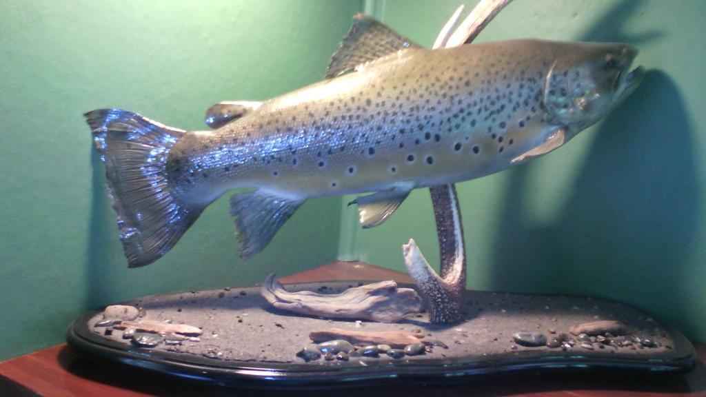 Creel Lodge - Resim 33