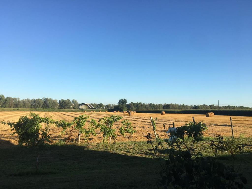 a field with hay bales in the distance at B&B DE CAROL in Gramignazzo