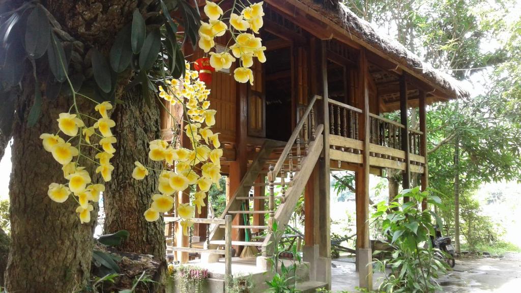 Linh Soi Homestay