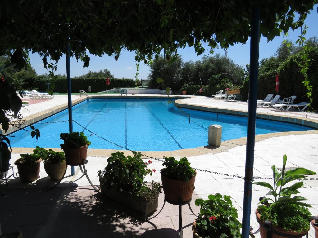 una piscina con macetas en un patio en Hostal San José, en Cadalso de los Vidrios