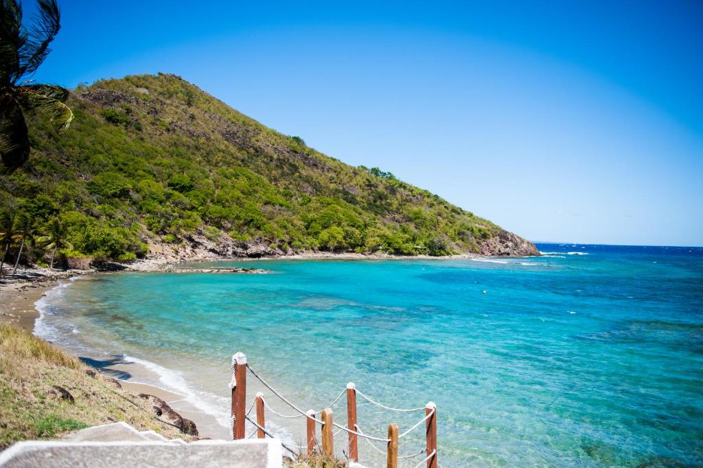 schody prowadzące na plażę z błękitną wodą w obiekcie Ti' Paradis w mieście Terre-de-Haut