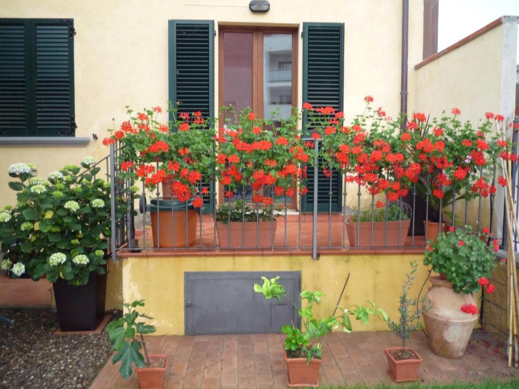 un ramo de flores en macetas en un balcón en Bed And Breakfast Loriana, en Arezzo