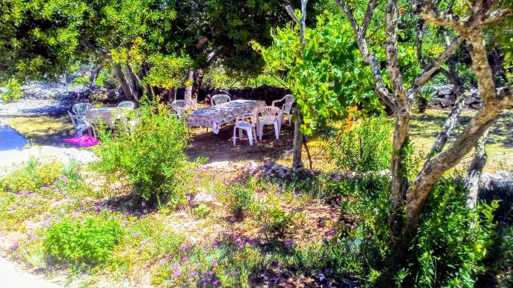 Zahrada ubytování Eco Secluded apartments Zabodarski