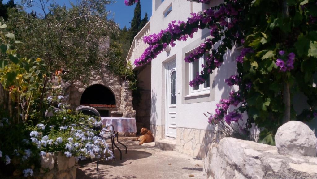 a dog sitting outside of a building with purple flowers at Apartments Rosa in Preko