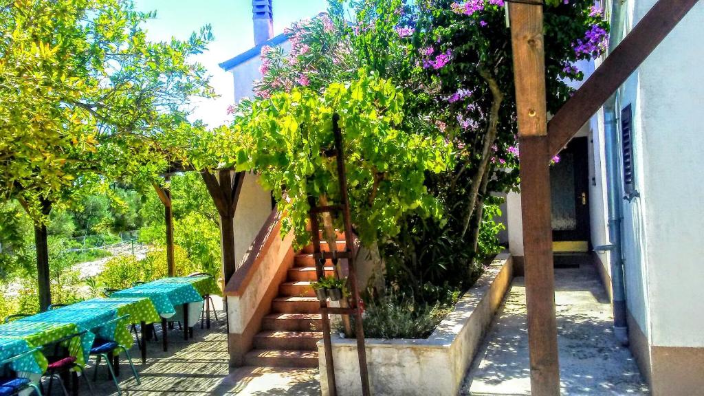 Zahrada ubytování Eco Secluded apartments Zabodarski