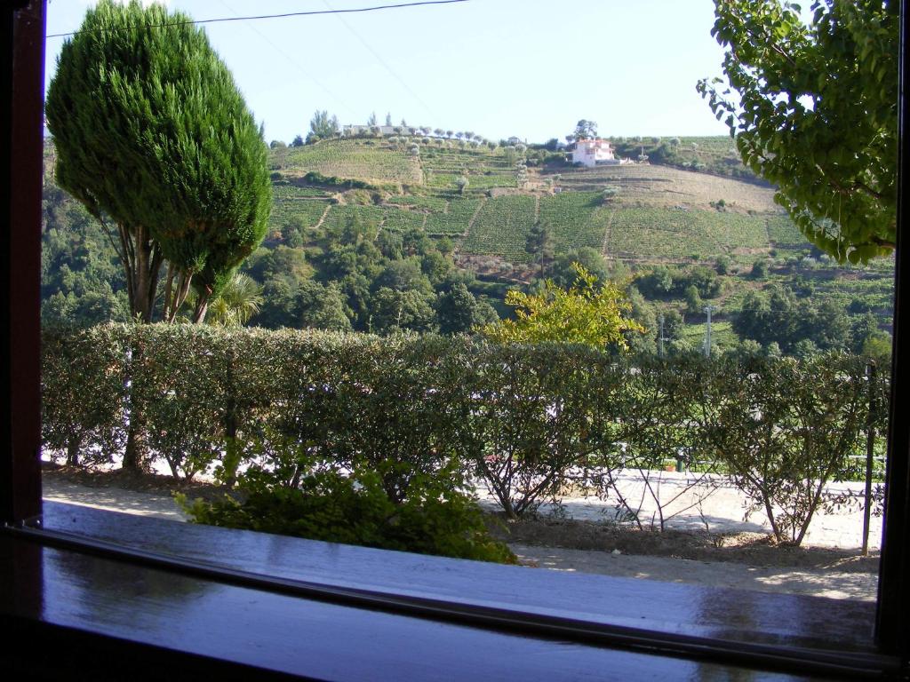 Solar Quinta da Portela - Douro - 8