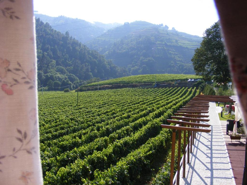 Solar Quinta da Portela - Douro - 14