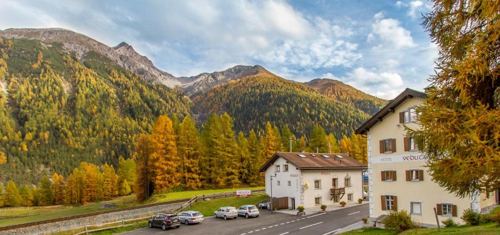 Příroda nedaleko hotelu