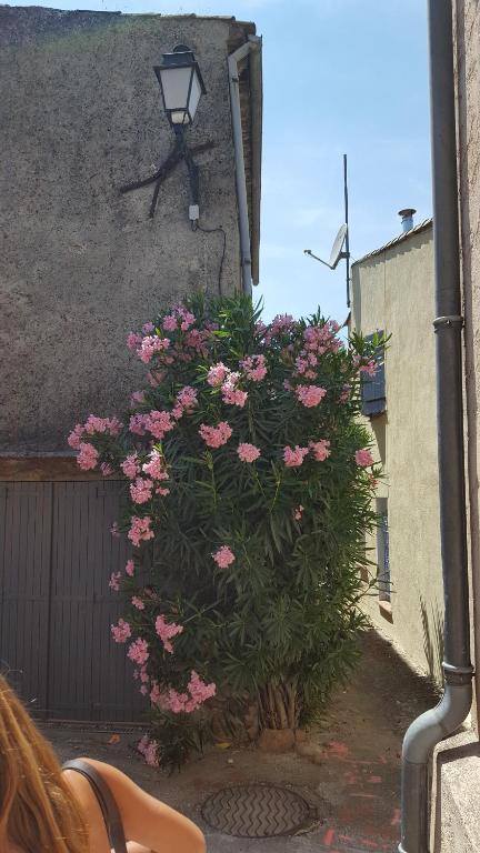 Fotografie z fotogalerie ubytování La petite châtaigne de Collobrières v destinaci Collobrières