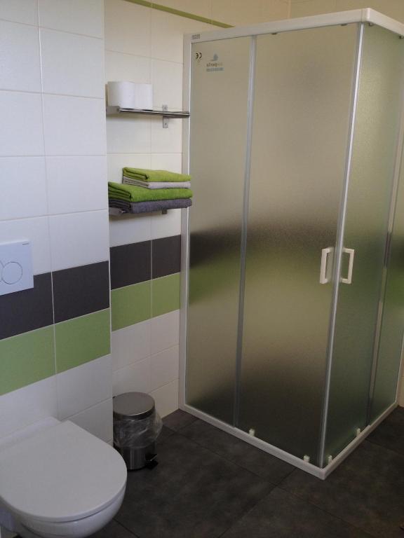 Koupelna v ubytování Apartment Zelená zahrada