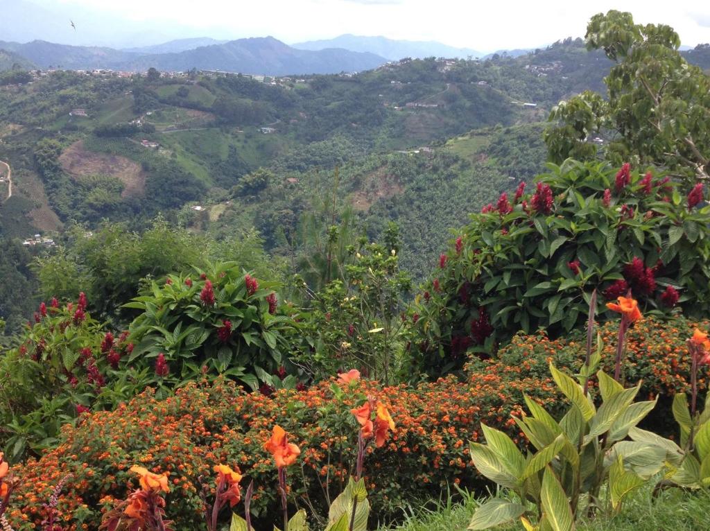 Un paisaje natural cerca of the bed and breakfast