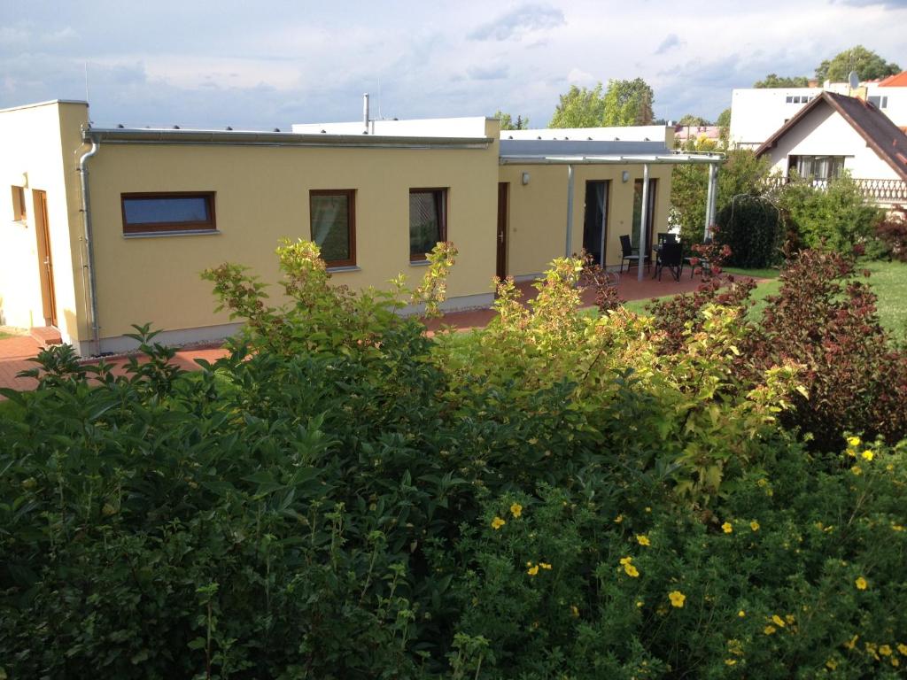 Zahrada ubytování Apartment Zelená zahrada