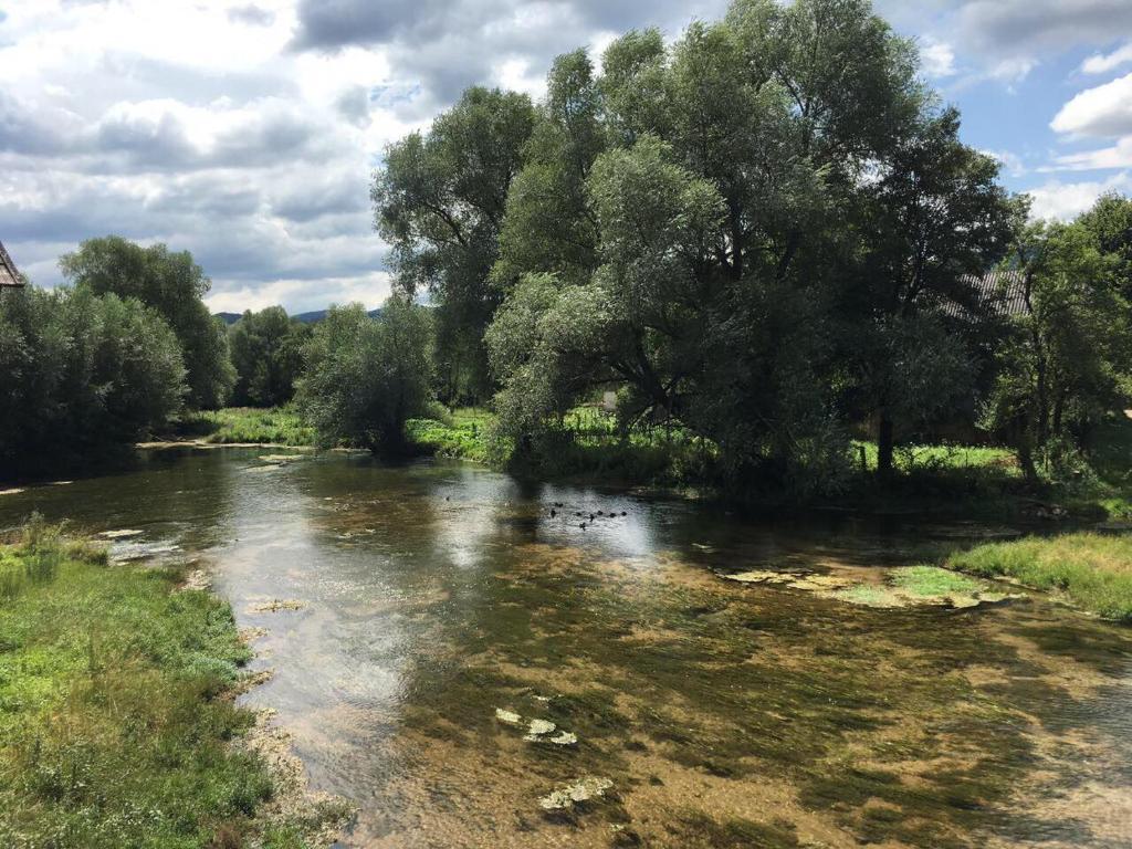 Příroda nedaleko hotelu