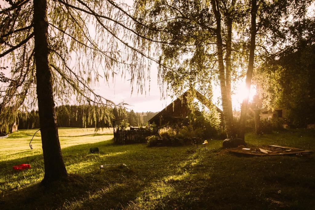 un gruppo di alberi e un fienile in un campo di Wiesenhof a Collalbo