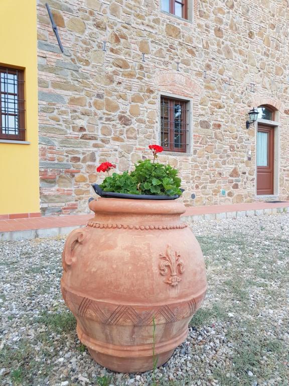 Zdjęcie z galerii obiektu Agriturismo Podere Casalone w mieście Limite