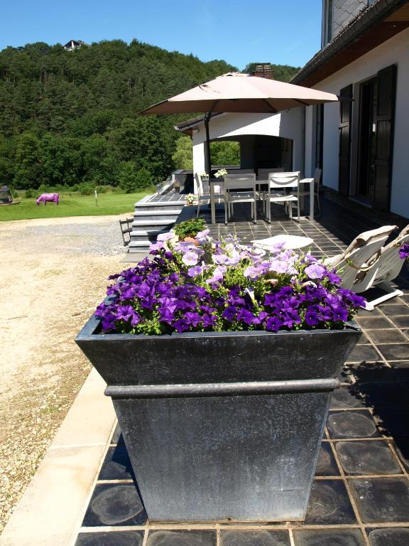 Nespecifikovaný výhled na hory nebo výhled na hory při pohledu z bed and breakfast