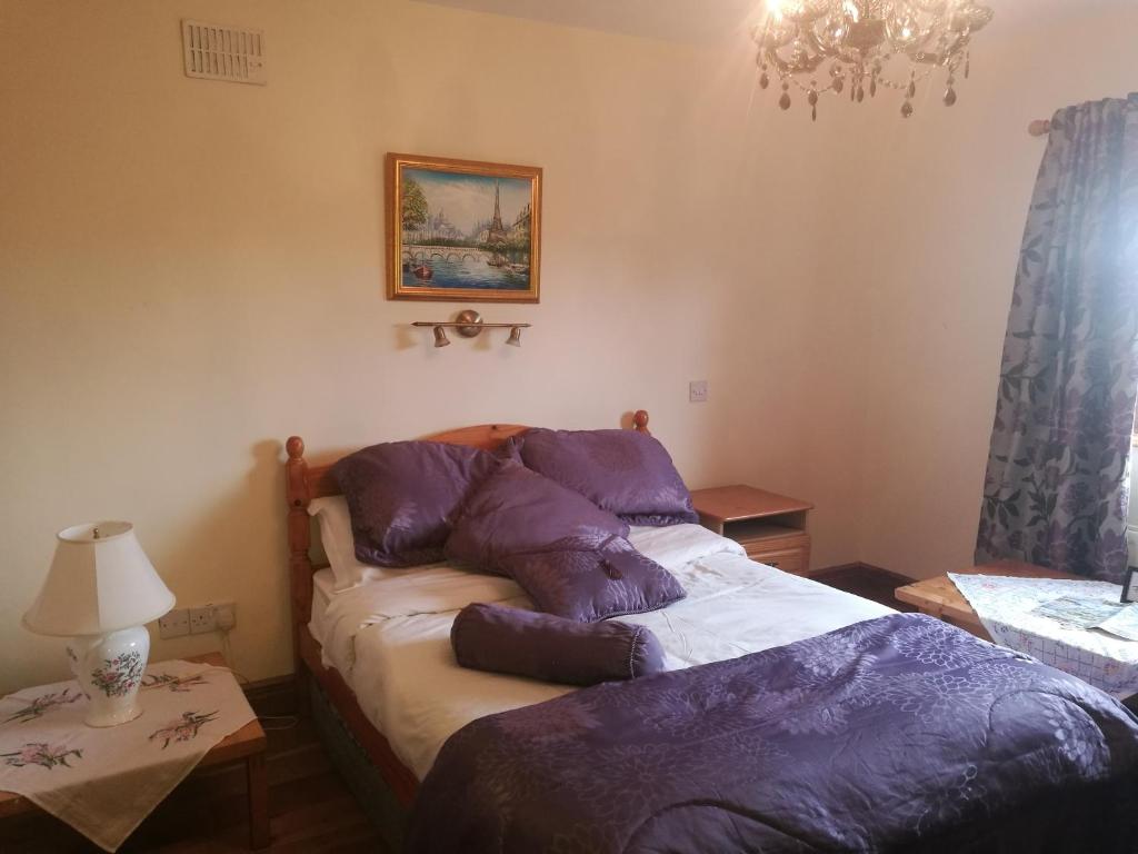 Postel nebo postele na pokoji v ubytování Assaroe House