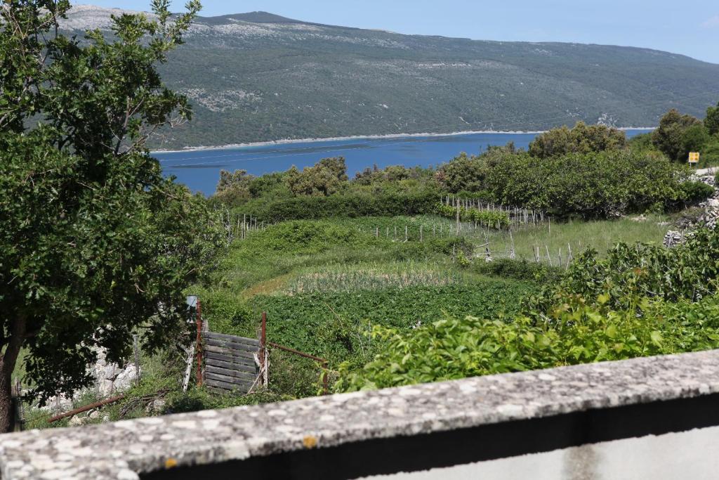 Paisagem natural perto da casa de hóspedes